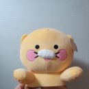 퍼펙트게임랜드 이미지