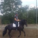 Being Fore | Ecole de Légèreté - 말은 캥거루가 아니에요!(번역)