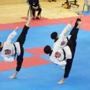 국가대표 국기태권도 이미지