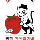 강화딸기농장
