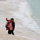 성읍민속마을 이미지