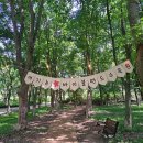 여주-0661 네이버블로그