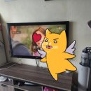 신일전업사 이미지