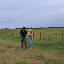 태균목장 이미지