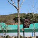 산수유민박 | 안동 하회마을 겨울 여행 후기 | 안동 하회마을 뚜벅이 여행 | 안동 가볼만한 곳