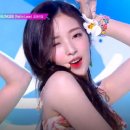팡팡노래뱅크