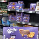 TENDER(텐더) | 한국에는 없는 소 모양 초코빵! 스페인에서 만난 ‘밀카 텐더 무우(Milka Tender Moo)’ 후기