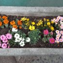 노틀담유치원 이미지