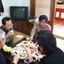 칠수농장 Daum카페