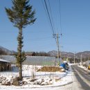 도천1리마을회관 이미지