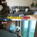 쭈쭈농장 이미지