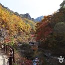 자암고택 이미지