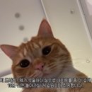 택스온