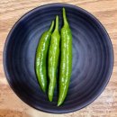 서울설렁탕 | 진주 상대동 맛집 서울설렁탕 24시 운영 솔직 후기