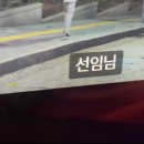 석정유치원 | 7月 일기