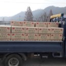 광주광역시청 이미지