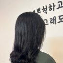 호수미용실 - 파주시 | 호수미용실
