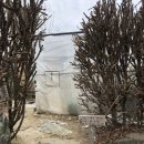 마장길 | 내돈내산 가평 촌캉스 숙소 추천 [선이네나무집]