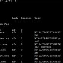 이터널블루(Eternal Blue) 이미지