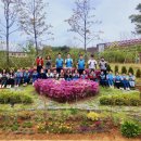 국제위러브유운동본부(회장 장길자) 평택시와 나무심기 행사 개최 이미지