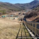 시례농장 이미지