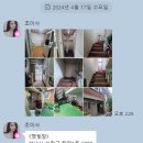 꼬모쉐공인중개사사무소 이미지