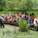 창녕 우포늪 이미지