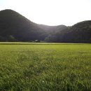 스마트팜의 미래 이미지