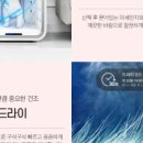 펫샤워 네이버블로그