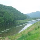 대의면사무소 이미지