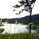 고성초교 앞 이미지