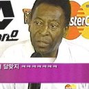 달맞지