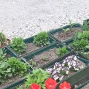 마장파출소 이미지