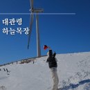 평창 대관령 양떼목장 하늘목장 예약 입장료 트랙터 겨울 방문 후기