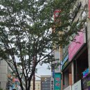 폴라리스호텔앞 | 부천 상동역 폴라리스 호텔 🏨 부천영화제 숙소 | 패밀리트윈룸 후기