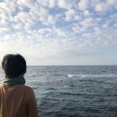 까꼬뽀꼬 이미지