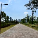 세종중앙공원 이미지