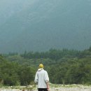 디티코리아 이미지