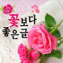 🐰💝생활에 꼭 필요한 지혜들 💝🐰 이미지