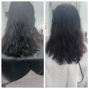 컷 · 뿌리염색 · 신데렐라 클리닉 전과 후 솔직 후기 — 동래 안락동 신데렐라 클리닉 헤어샵 하은헤어샵