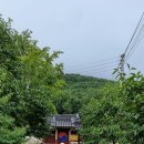 교동향교 Daum카페
