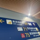 69 | 상해 푸동공항 2터미널 69VIP 라운지 후기 (음식 종류 국수, 위치, 웨이팅)