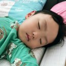 (대가족여행)가평 나나 키즈풀빌라 방3개 키즈펜션 조식제공 203호 후기