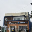 젊은땅 포항지형산책 | 비양도 2시간이면 충분할까?ㅣ한림항 배 시간·맛집·산책 코스 후기