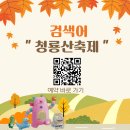 튼튼 유아숲체험원 이미지