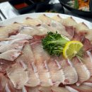 유곡 | 울산 중구 유곡동 대방어 맛집 회뜨는김선장 유곡점 내돈내산 후기