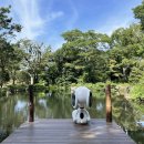 퍼피가든 이미지