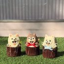 와들스 케이크 네이버블로그