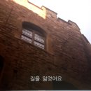 코스앨리