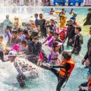 제8회 하동섬진강문화재첩축제 | 제8회 하동섬진강 문화재첩축제 축하공연 정서주 김연자 황민호 동후